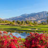 selloffvacations-prod/COUNTRY/USA/California/Palm Springs/palm-springs-california-usa-006